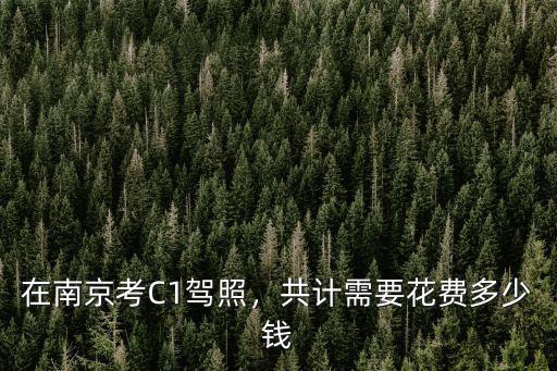 c1駕照在蘇州多少錢一個月多少錢,拿C1駕照需要多少錢
