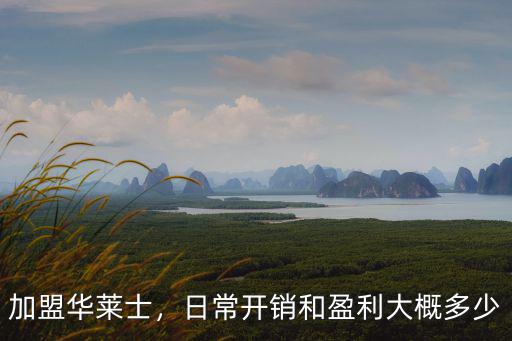 泰州華萊士加盟費(fèi)多少,華萊士加盟費(fèi)大概是多少