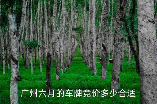 7月份廣州競拍出價多少好,廣州六月的車牌競價多少合適