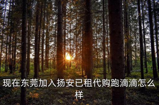 現(xiàn)在東莞加入揚(yáng)安已租代購(gòu)跑滴滴怎么樣