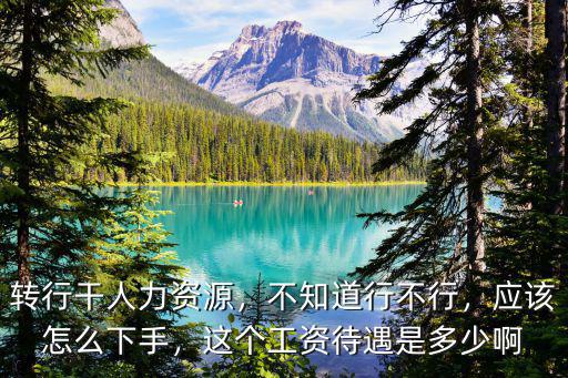 轉行干人力資源，不知道行不行，應該怎么下手，這個工資待遇是多少啊