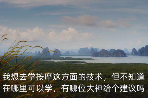 我想去學按摩這方面的技術，但不知道在哪里可以學，有哪位大神給個建議嗎