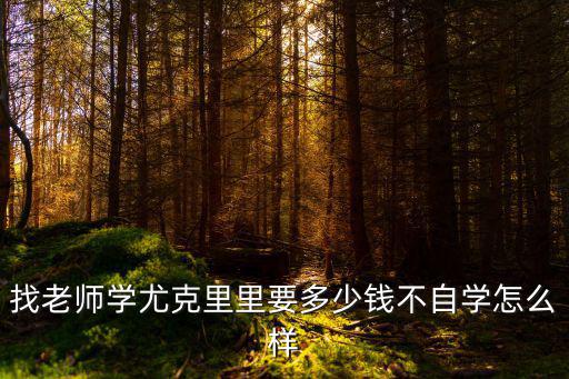 淄博尤克里里一節課多少錢,一節課大概多少錢