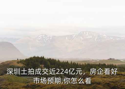 深圳土拍成交近224億元，房企看好市場預期,你怎么看