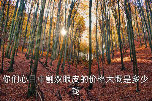 你們心目中割雙眼皮的價格大慨是多少錢