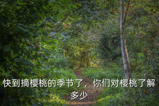 徐州摘櫻桃多少錢一斤,你們對櫻桃了解多少
