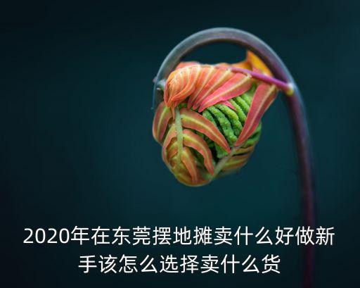 2020年在東莞擺地攤賣什么好做新手該怎么選擇賣什么貨
