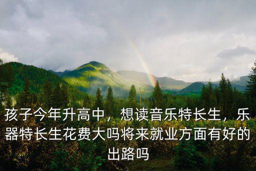 孩子今年升高中，想讀音樂特長生，樂器特長生花費大嗎將來就業(yè)方面有好的出路嗎