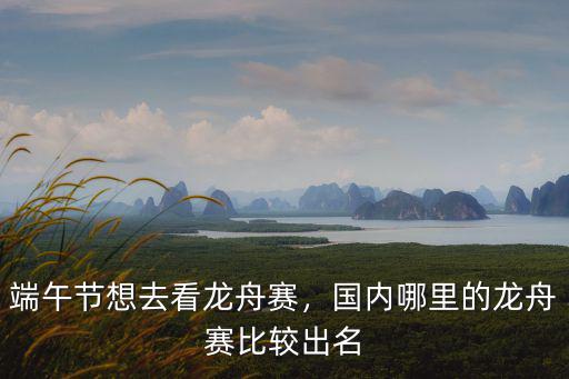 汕頭在哪里看賽龍舟,國內哪里的龍舟賽比較出名