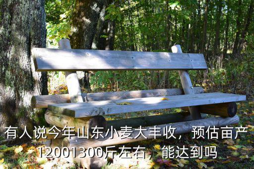 山東小麥產量多少斤,畝產多少斤算高產量