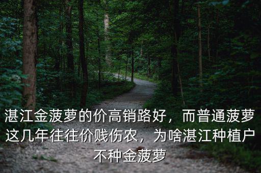 湛江金菠蘿的價高銷路好，而普通菠蘿這幾年往往價賤傷農，為啥湛江種植戶不種金菠蘿