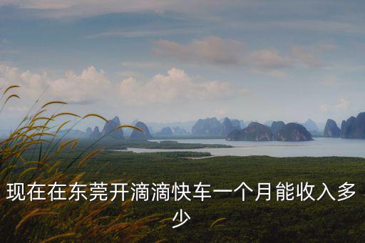 現(xiàn)在在東莞開滴滴快車一個月能收入多少
