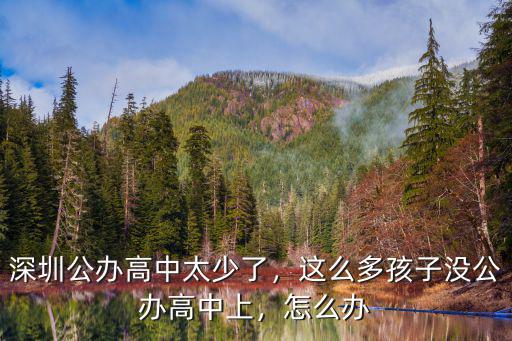 深圳初中生 多少上高中,深圳公辦高中太少了