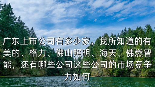 佛山一共多少家上市公司,廣東上市公司有多少家