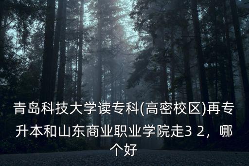 青島科技大學(xué)讀專科(高密校區(qū))再專升本和山東商業(yè)職業(yè)學(xué)院走3 2，哪個好
