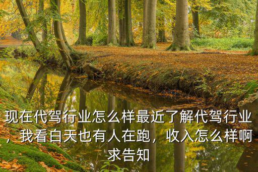 現(xiàn)在代駕行業(yè)怎么樣最近了解代駕行業(yè)，我看白天也有人在跑，收入怎么樣啊求告知