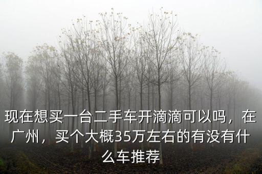 現在想買一臺二手車開滴滴可以嗎，在廣州，買個大概35萬左右的有沒有什么車推薦