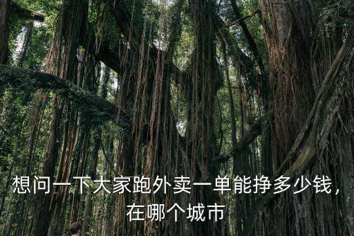 想問一下大家跑外賣一單能掙多少錢，在哪個城市