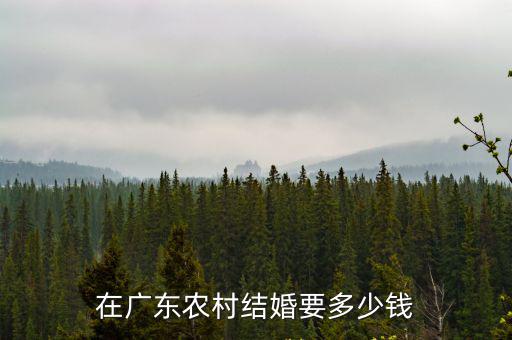 在廣東農村結婚要多少錢