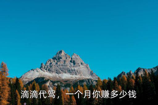 滴滴代駕，一個月你賺多少錢