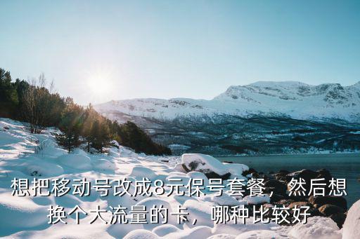 想把移動號改成8元保號套餐，然后想換個大流量的卡，哪種比較好