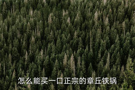 廣東哪里買正宗的鐵鍋,鐵鍋什么牌子的好
