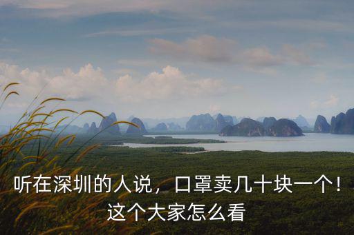 聽在深圳的人說，口罩賣幾十塊一個！這個大家怎么看