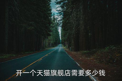 開一個天貓旗艦店需要多少錢