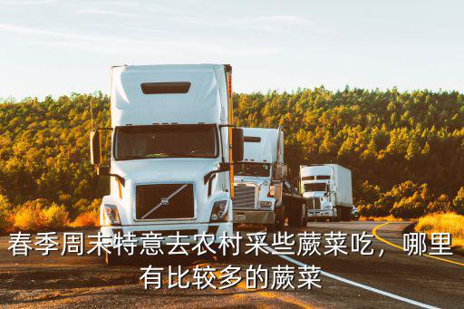廣東哪里破有蕨菜,如何殺滅蕨菜