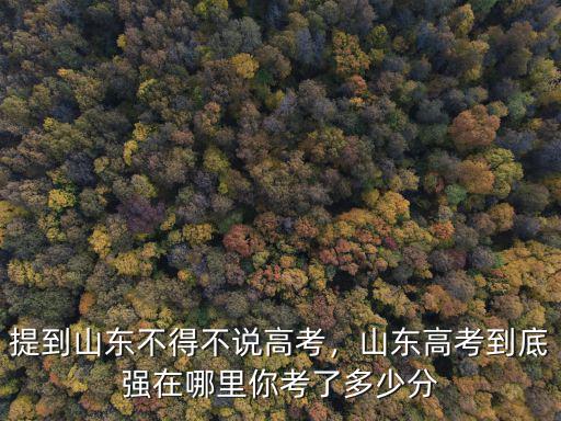 山東多少分考武大,提到山東不得不說高考
