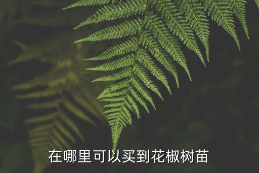 泰安哪里賣花椒苗多少錢一株,一棵大概多少錢