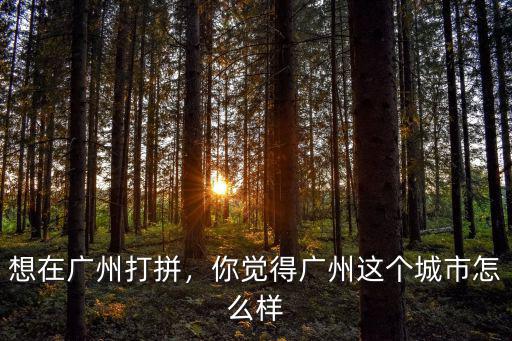 想在廣州打拼，你覺得廣州這個城市怎么樣