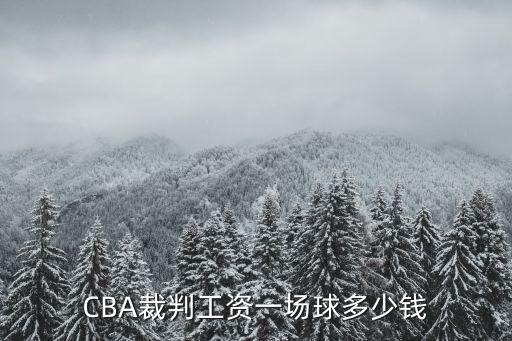 CBA裁判工資一場(chǎng)球多少錢(qián)