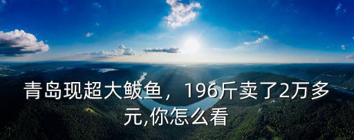 青島現(xiàn)超大鲅魚，196斤賣了2萬(wàn)多元,你怎么看