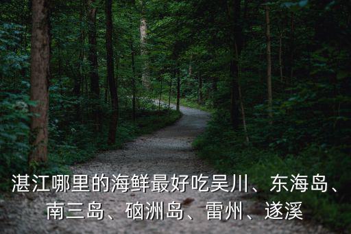 湛江哪里的墨魚好吃,湛江哪里的海鮮最好吃