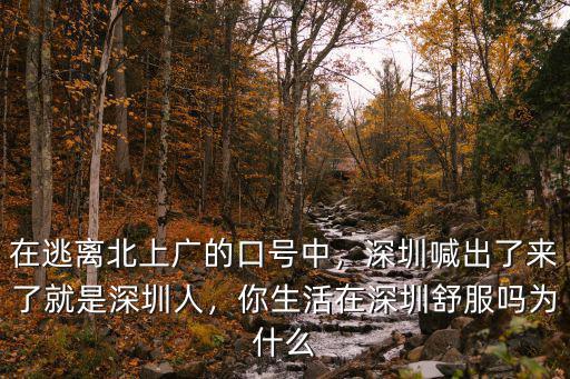 在逃離北上廣的口號中，深圳喊出了來了就是深圳人，你生活在深圳舒服嗎為什么