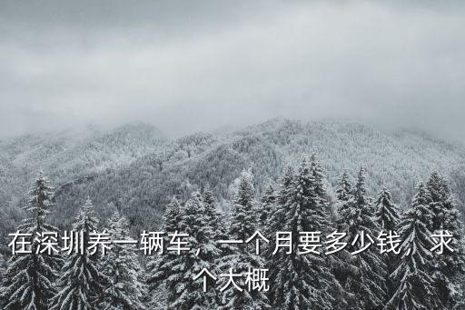 在深圳包順風(fēng)車(chē)多少錢(qián)一個(gè)月,一個(gè)月要多少錢(qián)