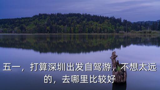 清明節深圳自駕游去哪里玩比較好,去哪里比較好