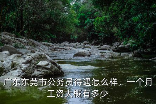 東莞市普聘員工資多少,廣東東莞市公務員待遇怎么樣