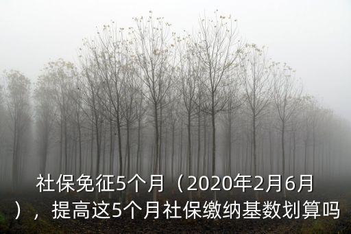 廣東2020年2月份社保減免多少,社保免征5個月