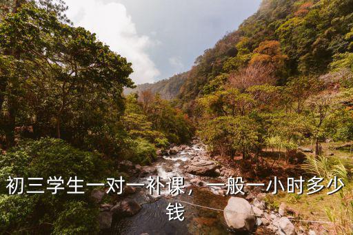 初三學生一對一補課，一般一小時多少錢
