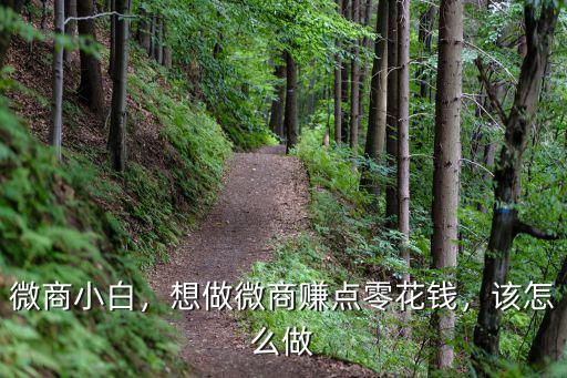 微商小白，想做微商賺點零花錢，該怎么做