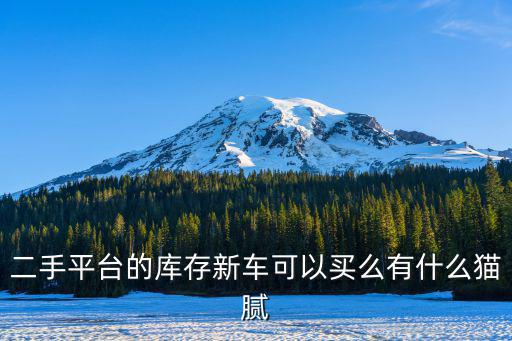 二手平臺的庫存新車可以買么有什么貓膩