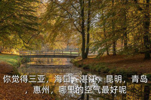 惠州空氣最好是哪里,惠州買房買在哪里比較好呢