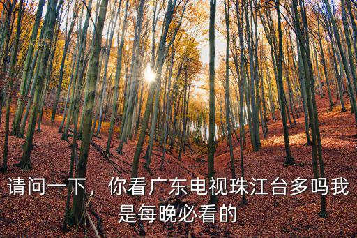 請問一下，你看廣東電視珠江臺多嗎我是每晚必看的