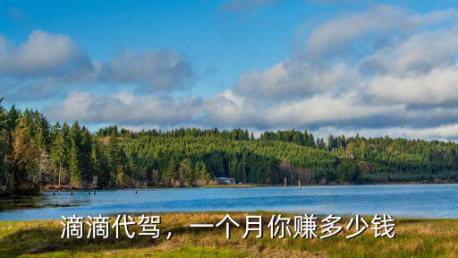 滴滴代駕，一個月你賺多少錢