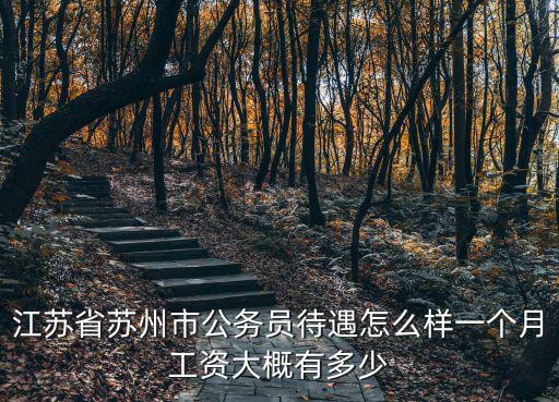 江蘇省買一個公務員多少錢,江蘇公務員一年收入多少錢