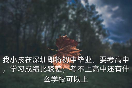 深圳外國語高中怎么考,要讓孩子在深圳考個好高中