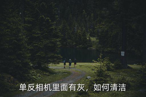 單反相機里面有灰，如何清潔