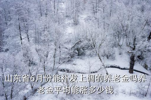 山東上調養老金平均多少,今年養老金調整以后